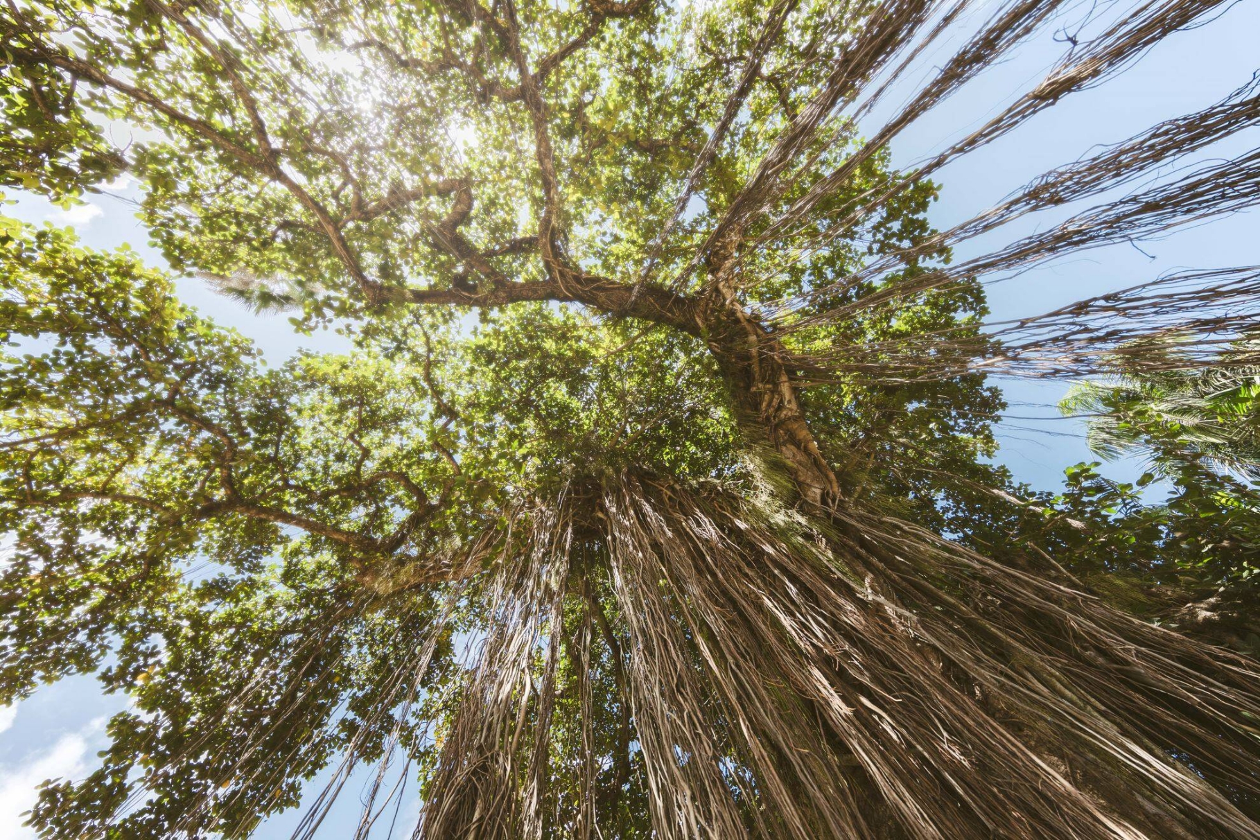 Sustainability & ESG